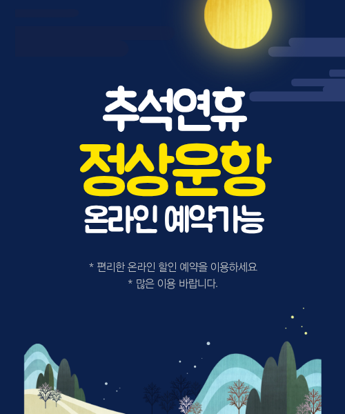 추석연휴 정상운항