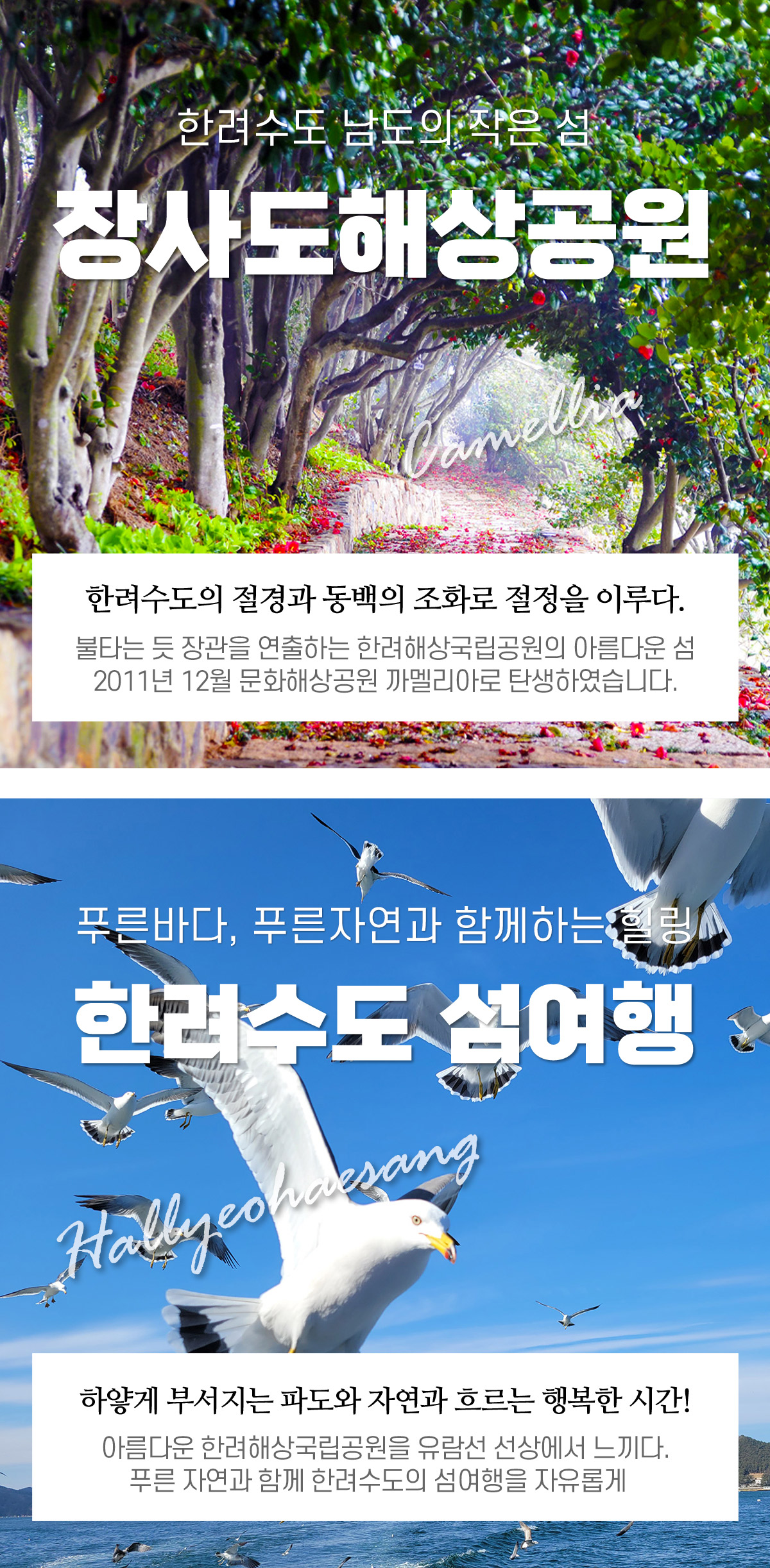 장사도상륙+한려수도유람 왕복 (장사도입장료 불포함) 정보