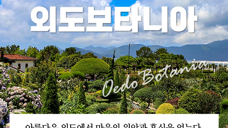 외도상륙 직항코스 (외도입장료 별도)