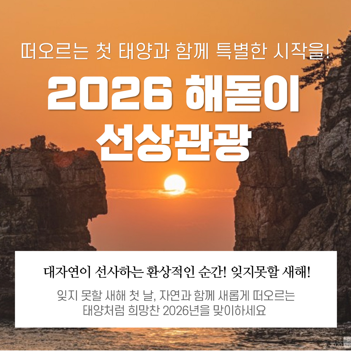 2026년 일출선상관광(외도입도불가, 해금강 선상관광) 정보