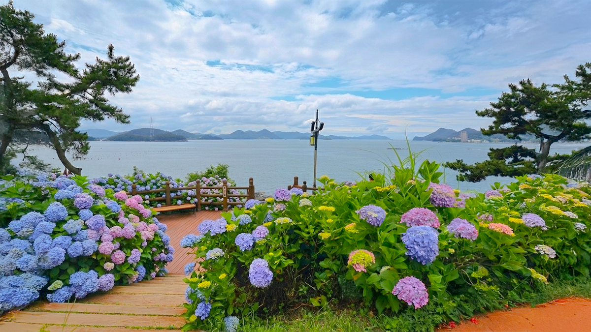 숲길 따라 만나는 통영 바다