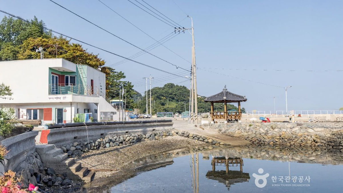 에코 아일랜드 연대도