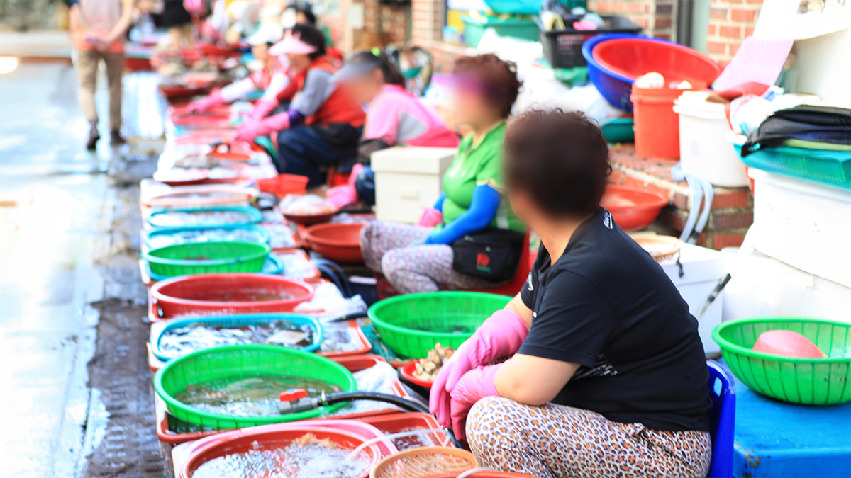 팔딱이는 생명력, 활어 시장의 매력