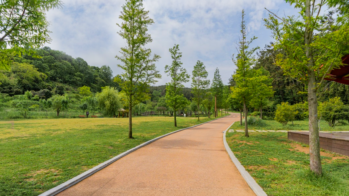 자연과 교감하는 세자트라숲