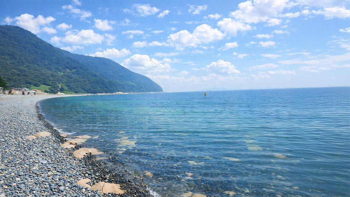 역사의 아픔과 자연의 위로